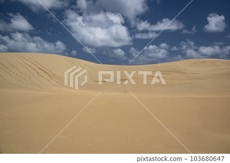 鳥取沙丘 鳥取沙丘 103680647