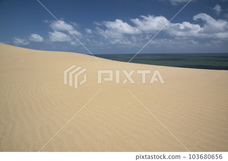 Tottori sand dunes Tottori sand dunes 103680656
