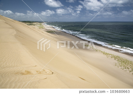 Tottori sand dunes Tottori sand dunes 103680663