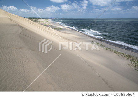 鳥取沙丘 103680664