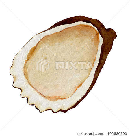 Cartoon character oyster 103680700