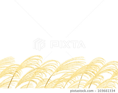 Hand drawn watercolor pampas grass bottom frame 103681334