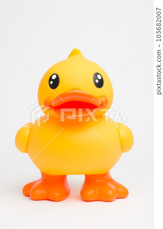 Quacking his way through life. Shot of a rubber duck against a studio background. 103682007