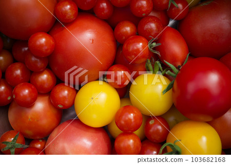 Group of fresh tomatoes in a pile background Group of fresh tomatoes in a pile background 103682168