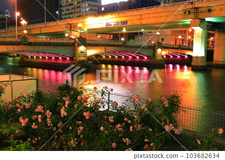 [Osaka Prefecture] Night view of Naniwa Bridge 103682634