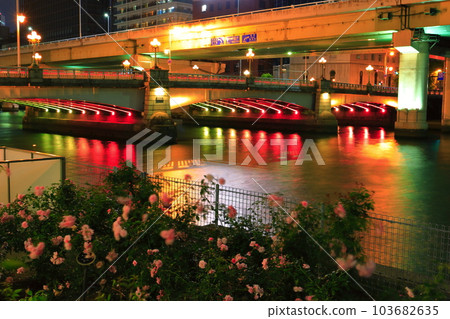 [Osaka Prefecture] Night view of Naniwa Bridge 103682635