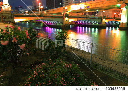 [Osaka Prefecture] Night view of Naniwa Bridge 103682636