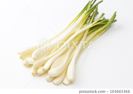 Shallot white background 103683368