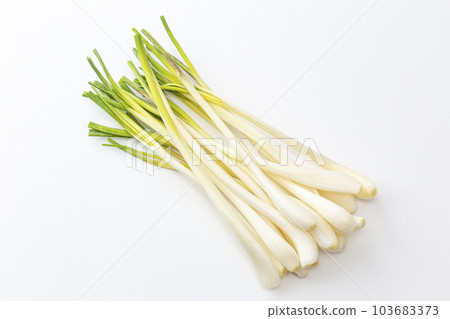 青蔥白色背景 103683373