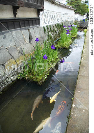 津和野鎮 津和野鎮 103683734