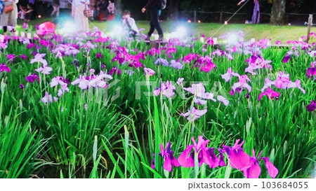 Hanashobu Festival 103684055