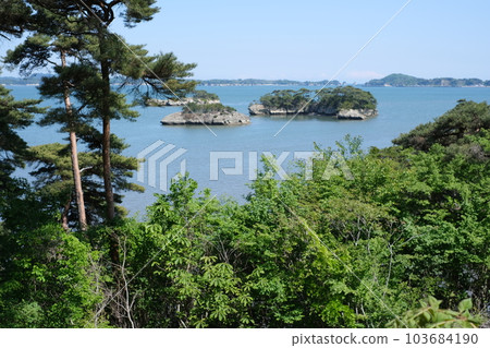 View of pine trees on Matsushima bay 103684190