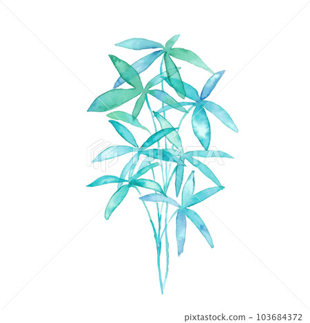 水彩。用水彩筆觸繪製的 Pachira 矢量圖。夏季植物背景。 103684372