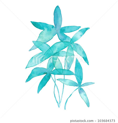 水彩。用水彩筆觸繪製的 Pachira 矢量圖。夏季植物背景。 103684373