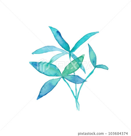 水彩。用水彩筆觸繪製的 Pachira 矢量圖。夏季植物背景。 103684374