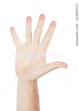 Numbers, showing and hand of a person for communication isolated on a white background in studio. High five, sign language and palm of a man for a warning, conversation and hello on a backdrop 103685051