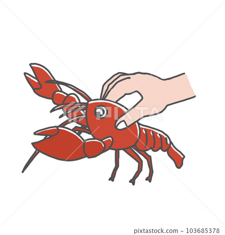 小龍蝦的飼養方法 103685378