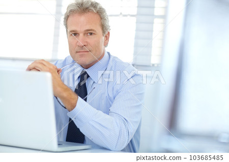 Im serious about profits. Portrait of a handsome mature businessman sitting at his desk in front of a laptop. 103685485