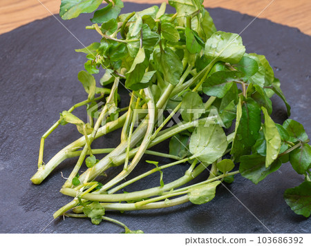 新鮮西洋菜。帶有苦味的蔬菜。 103686392