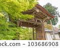 Kyoto Nison-in Spring 103686908