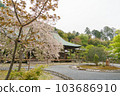 Kyoto Nison-in Spring 103686910