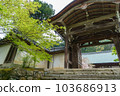 Kyoto Nison-in Spring 103686913