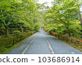 Kyoto Nison-in Spring 103686914