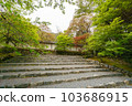 Kyoto Nison-in Spring 103686915