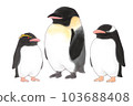 企鵝 禽 帝企鵝 103688408