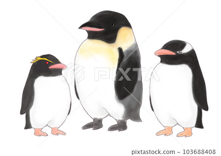 企鵝 禽 帝企鵝 103688408