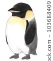 烏魯倫帝企鵝 烏魯倫帝企鵝 103688409