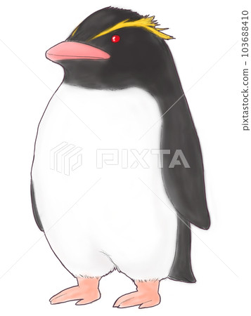 夏普跳岩企鵝 夏普跳岩企鵝 103688410