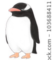 友好的巴布亞企鵝 友好的巴布亞企鵝 103688411