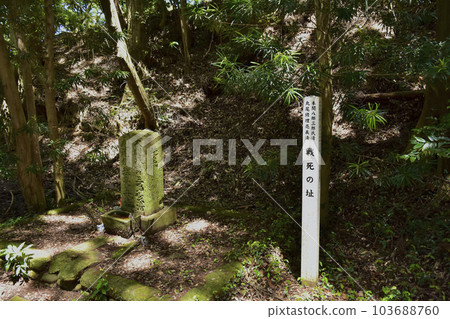 日本百座名城高天神城戰亡遺跡續作 103688760