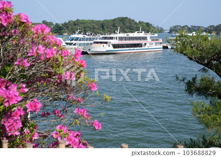 從觀瀾亭眺望松島觀光船碼頭 103688829