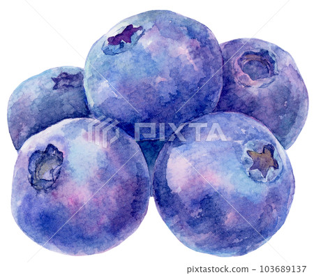 Watercolor illustration of multiple stacked blueberry fruits Watercolor illustration of multiple stacked blueberry fruits 103689137