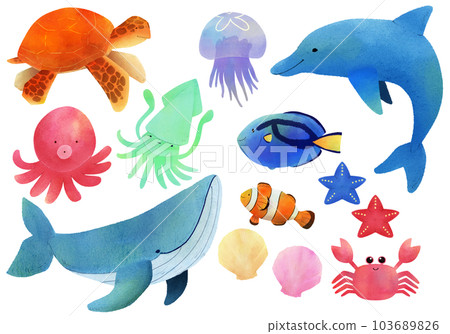 各種夏季海洋生物 各種夏季海洋生物 103689826