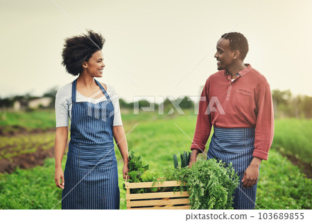 We get to enjoy healthy, tasty food fresh from our garden. a young farm couple carrying a crate of fresh produce. We get to enjoy healthy, tasty food fresh from our garden. a young farm couple carrying a crate of fresh produce. 103689855