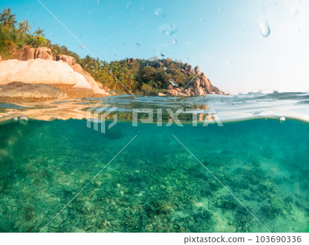 Under the sea and bay at Koh Tao Under the sea and bay at Koh Tao 103690336
