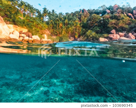 Under the sea and bay at Koh Tao 103690345