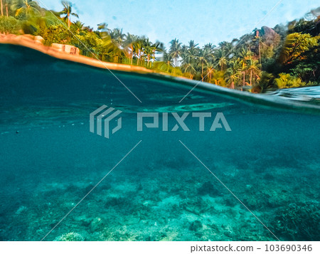 Under the sea and bay at Koh Tao 103690346