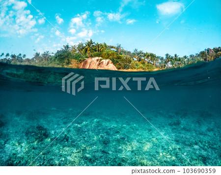 Under the sea and bay at Koh Tao Under the sea and bay at Koh Tao 103690359