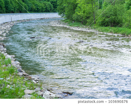 View of the mountain river Chorna Tysa 103690876