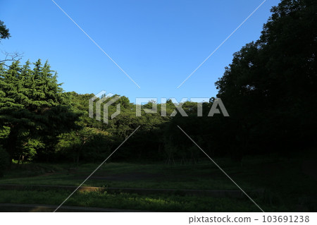 I walked in Mitsuike Park 103691238