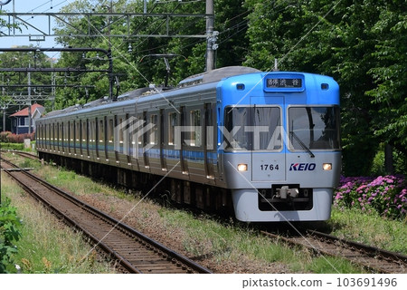 Keio Series 1000 and Hydrangea 1764F Light Blue Formation Inokashira Line 103691496