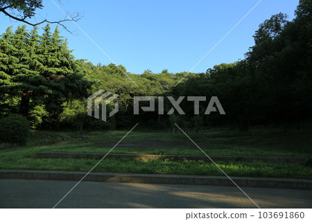 I walked in Mitsuike Park I walked in Mitsuike Park 103691860
