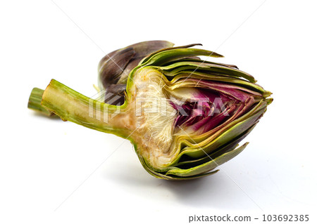 Fresh artichoke on white background. Fresh artichoke on white background. 103692385