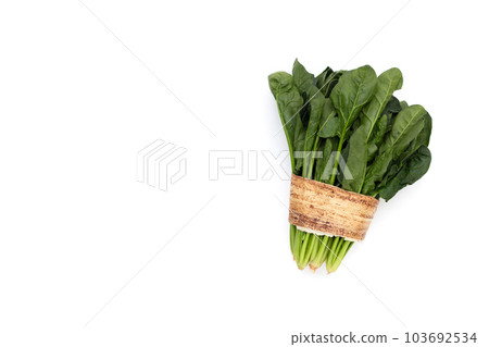 Fresh spinach on white background 103692534