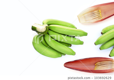 Green banana on white background 103692629