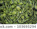 Wild vegetables (kogomi) 103693294